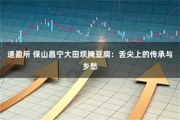 速盈所 保山昌宁大田坝腌豆腐：舌尖上的传承与乡愁