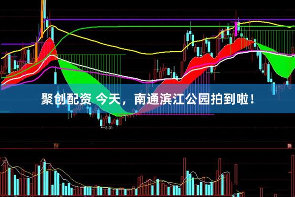 聚创配资 今天，南通滨江公园拍到啦！