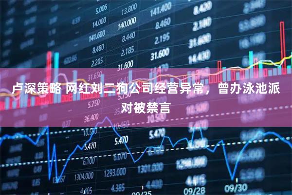 卢深策略 网红刘二狗公司经营异常，曾办泳池派对被禁言