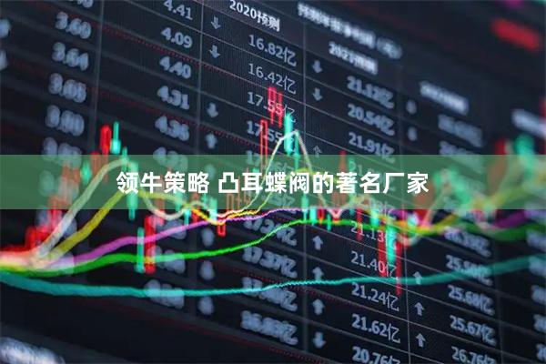 领牛策略 凸耳蝶阀的著名厂家