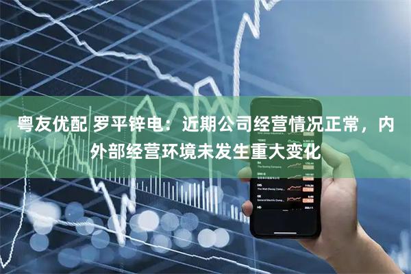 粤友优配 罗平锌电：近期公司经营情况正常，内外部经营环境未发生重大变化
