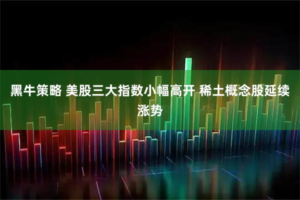 黑牛策略 美股三大指数小幅高开 稀土概念股延续涨势